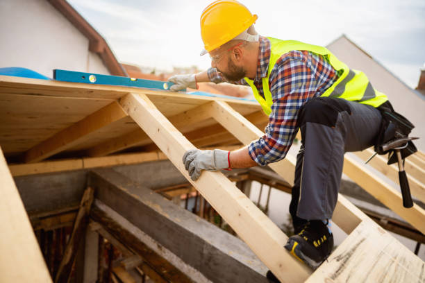 Roof Gutter Cleaning in Fort Mckinley, OH